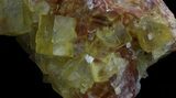 Lustrous, Yellow Cubic Fluorite Crystals - Morocco #37483-2